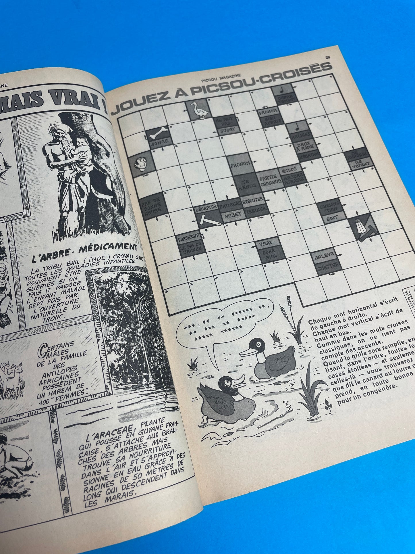 Picsou Magazine 1981
