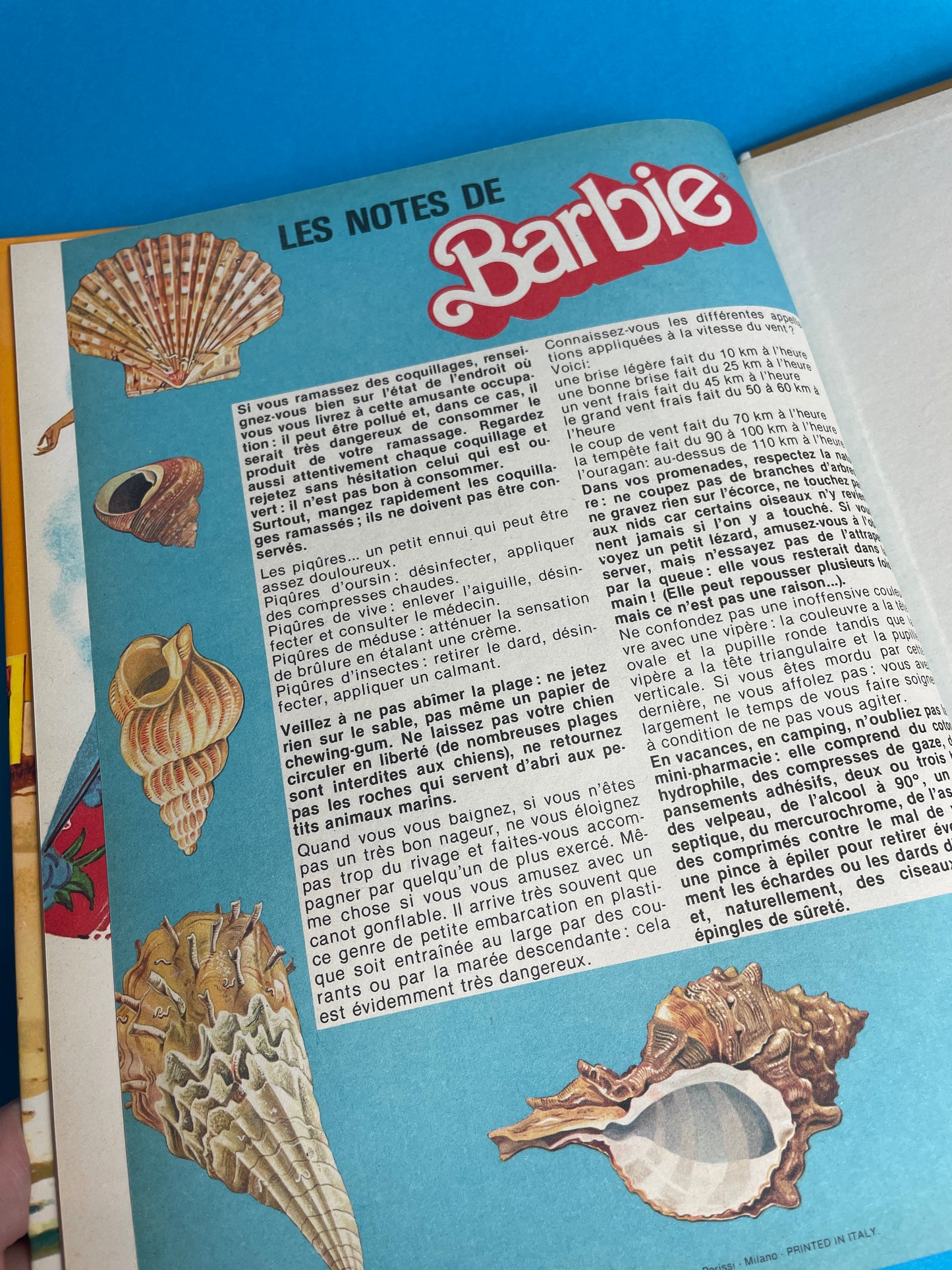 Album Les Joyeuses vacances de Barbie 1981