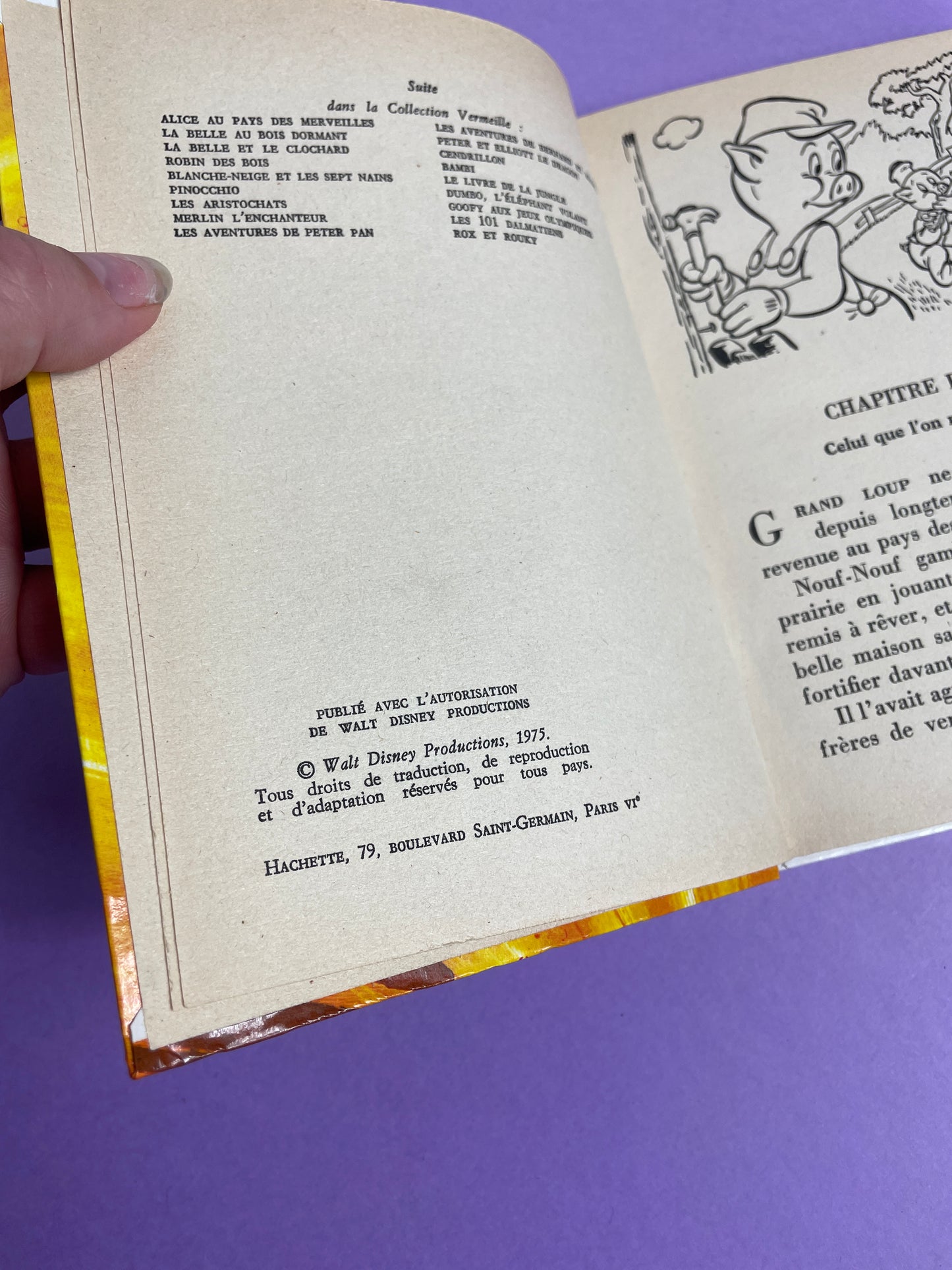 Livre Les 3 Petits Cochons et les lunettes magiques 1981