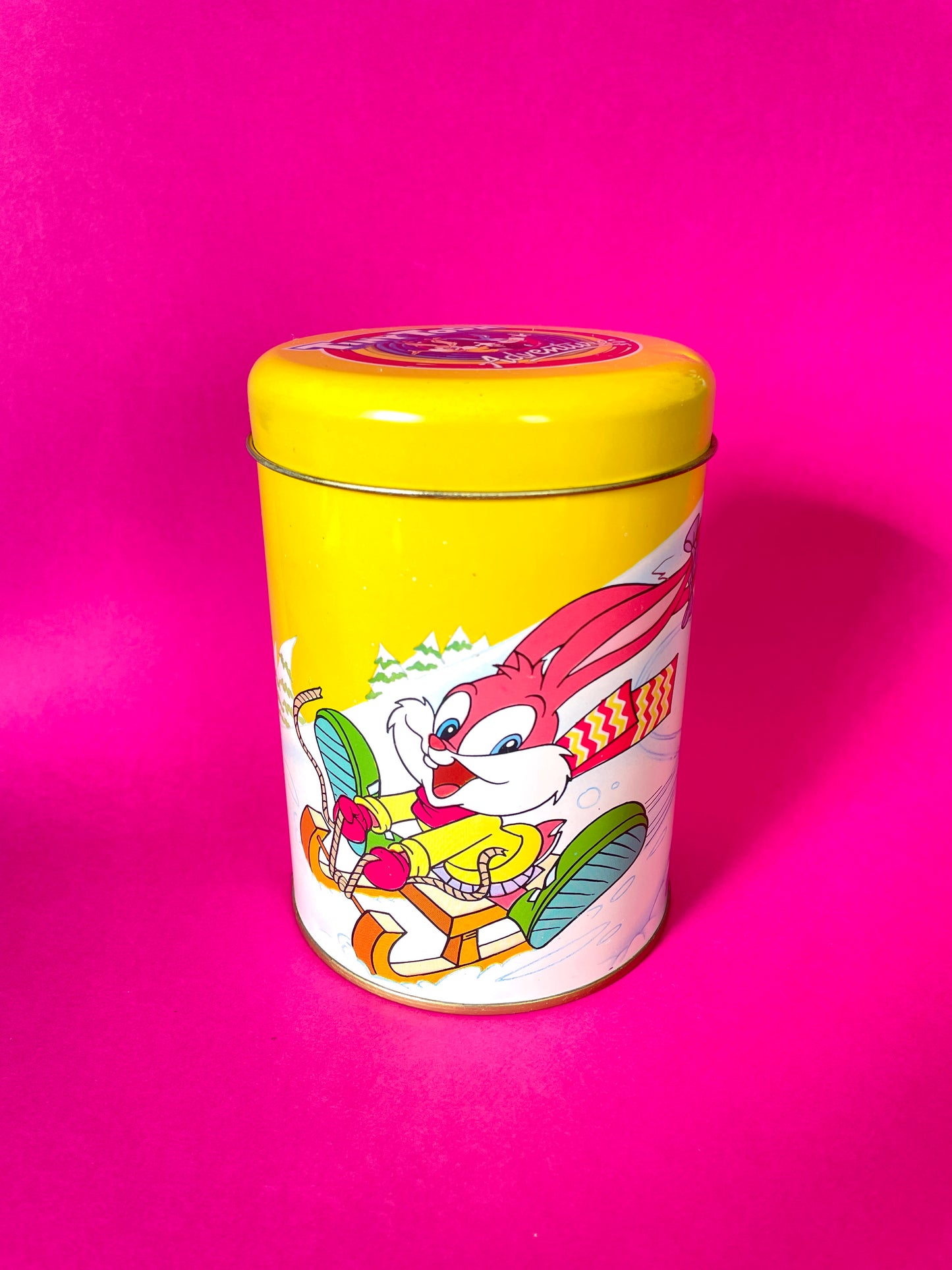 Boîte vintage Tiny Toons 1991 Babs Bunny
