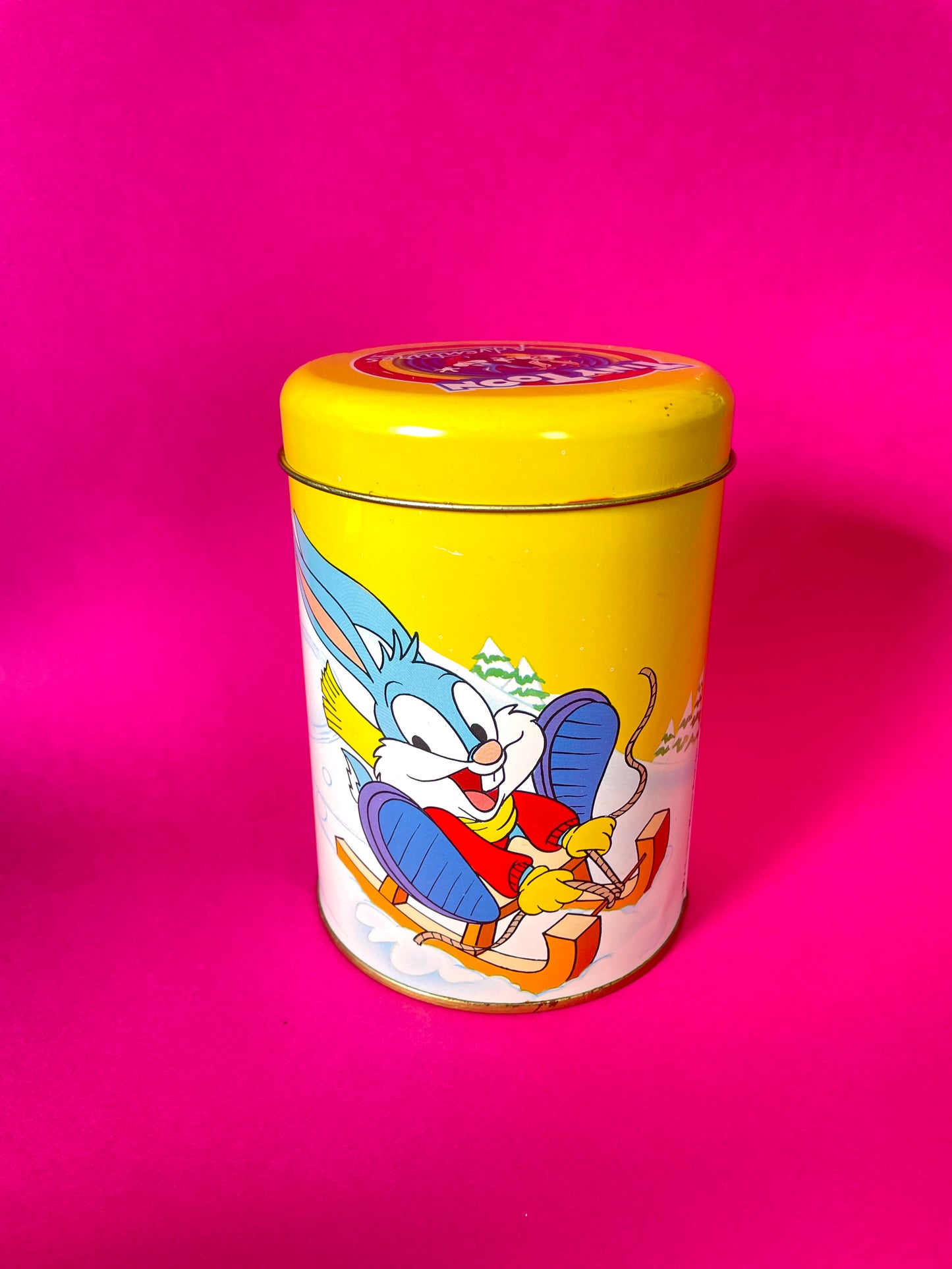 Boîte vintage Tiny Toons 1991 Babs Bunny