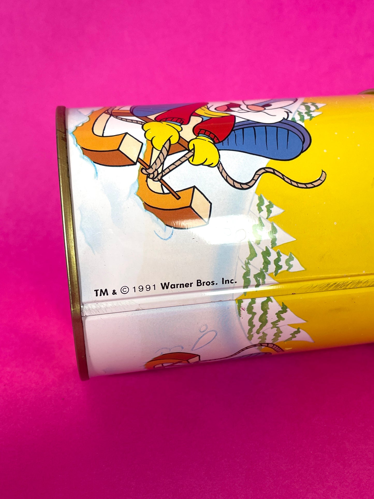 Boîte vintage Tiny Toons 1991 Babs Bunny