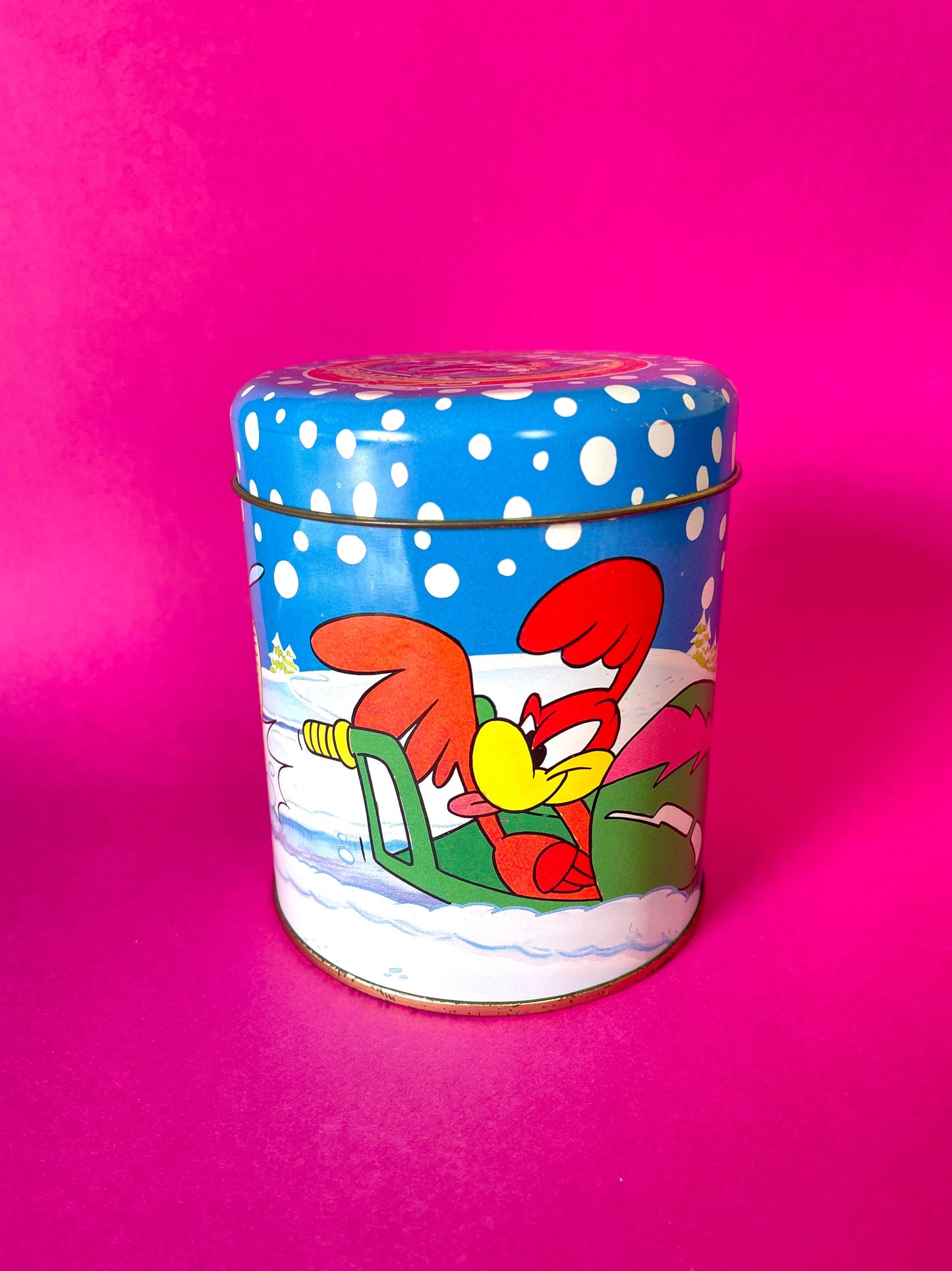 Boîte vintage Tiny Toons 1992 Porky Pig