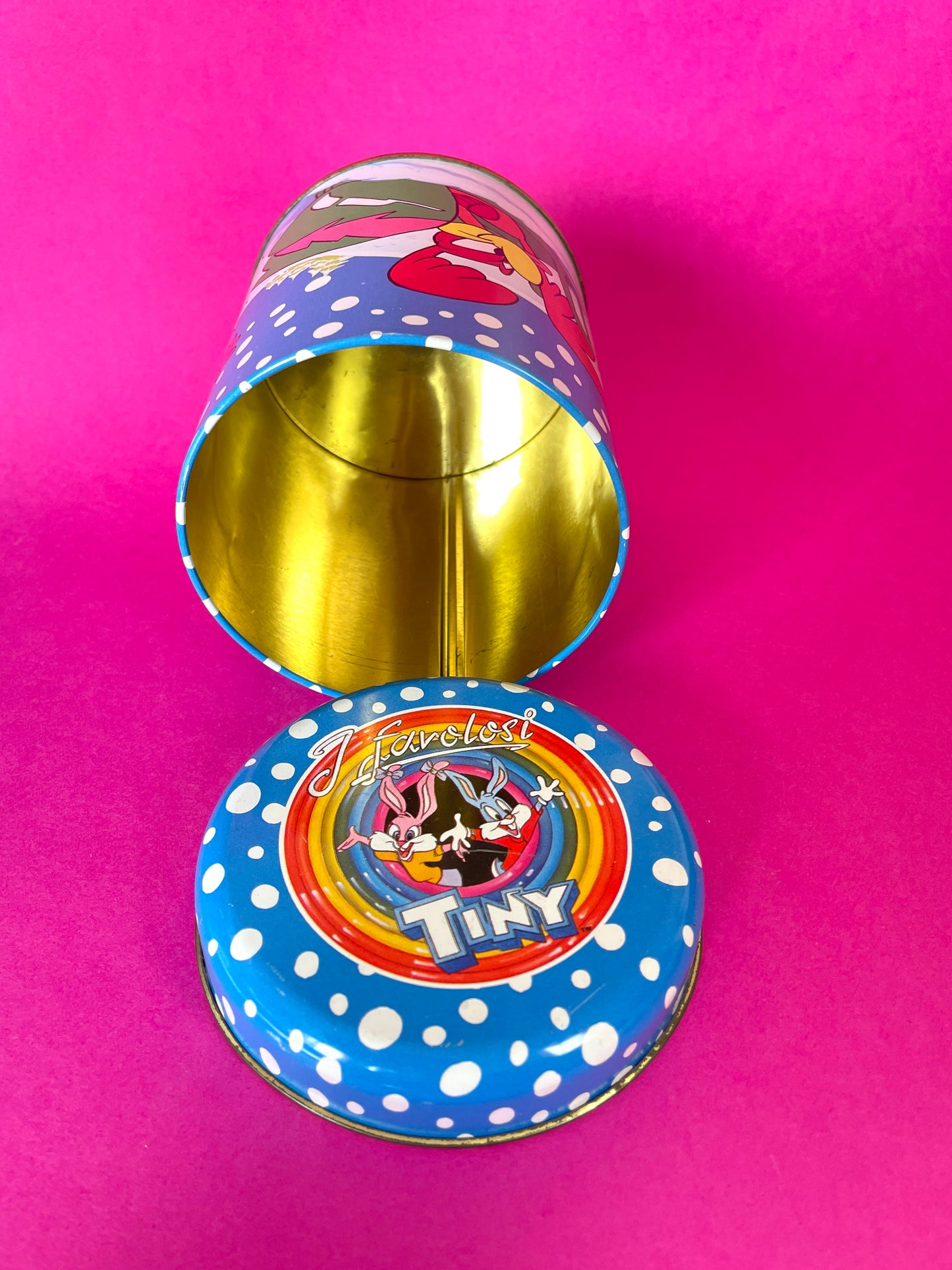Boîte vintage Tiny Toons 1992 Porky Pig