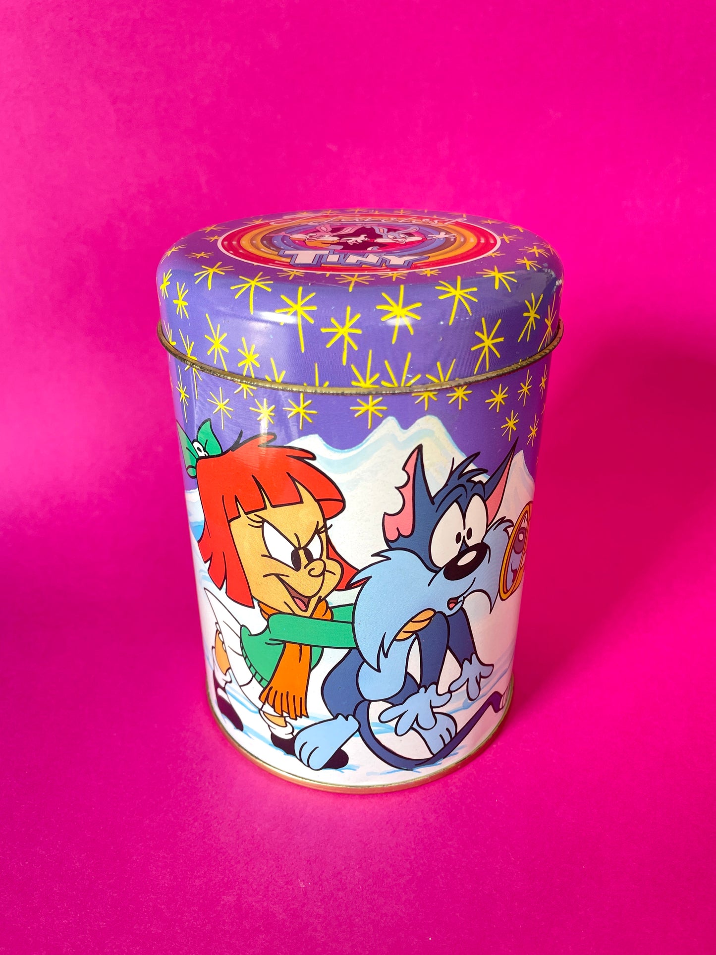 Boîte vintage Tiny Toons 1992 Elmyra