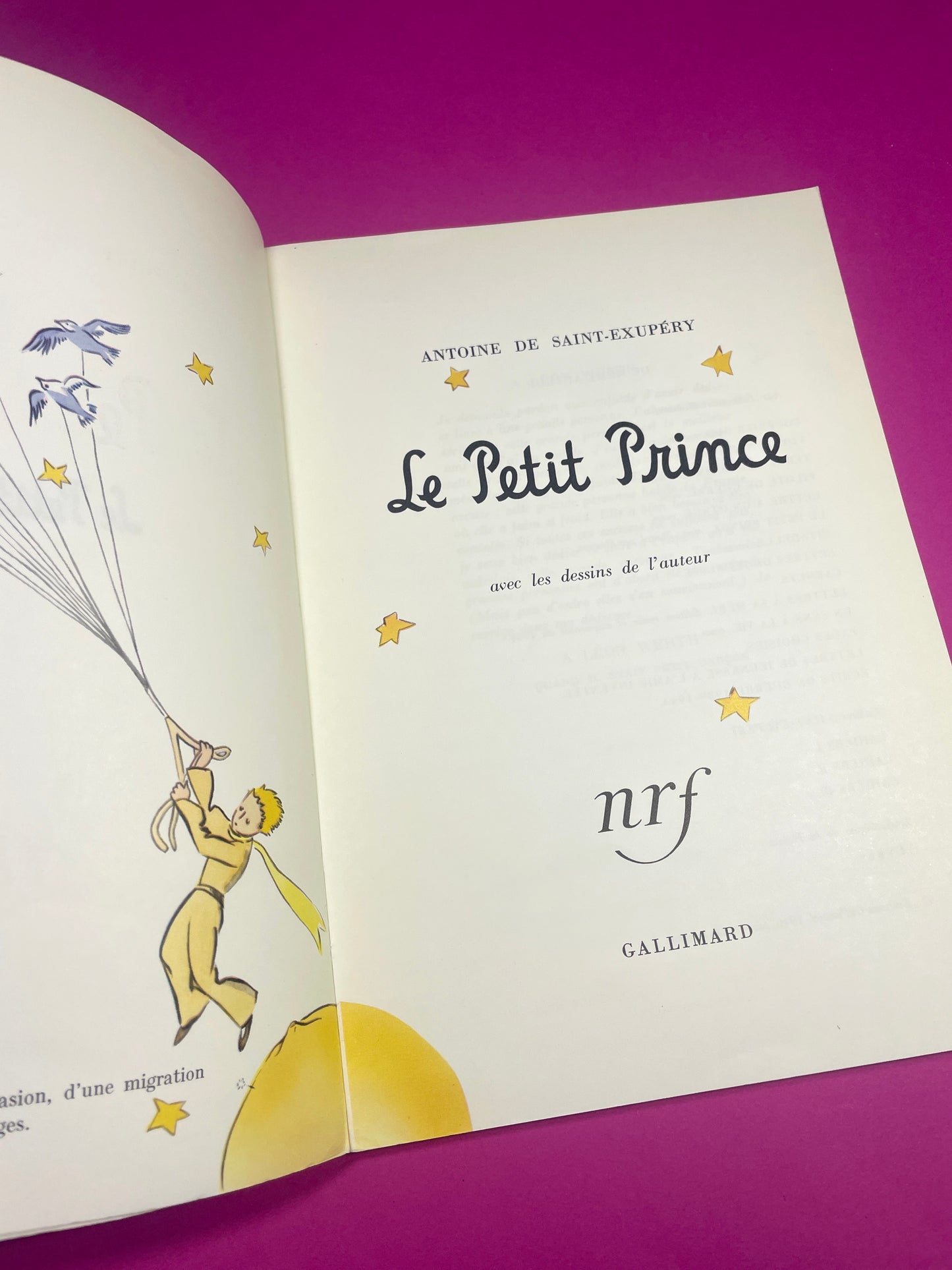 Livre Le Petit Prince 1995