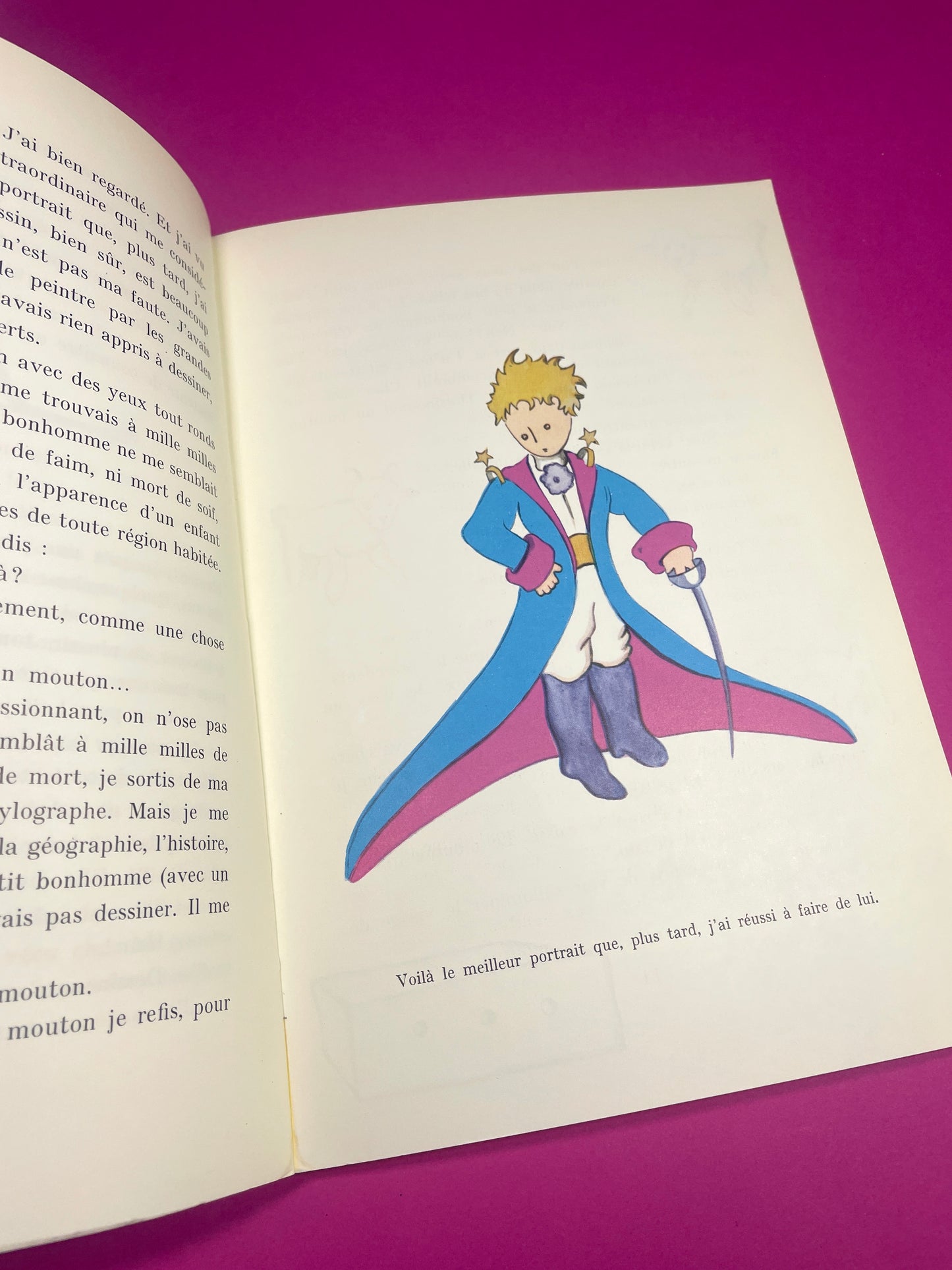 Livre Le Petit Prince 1995