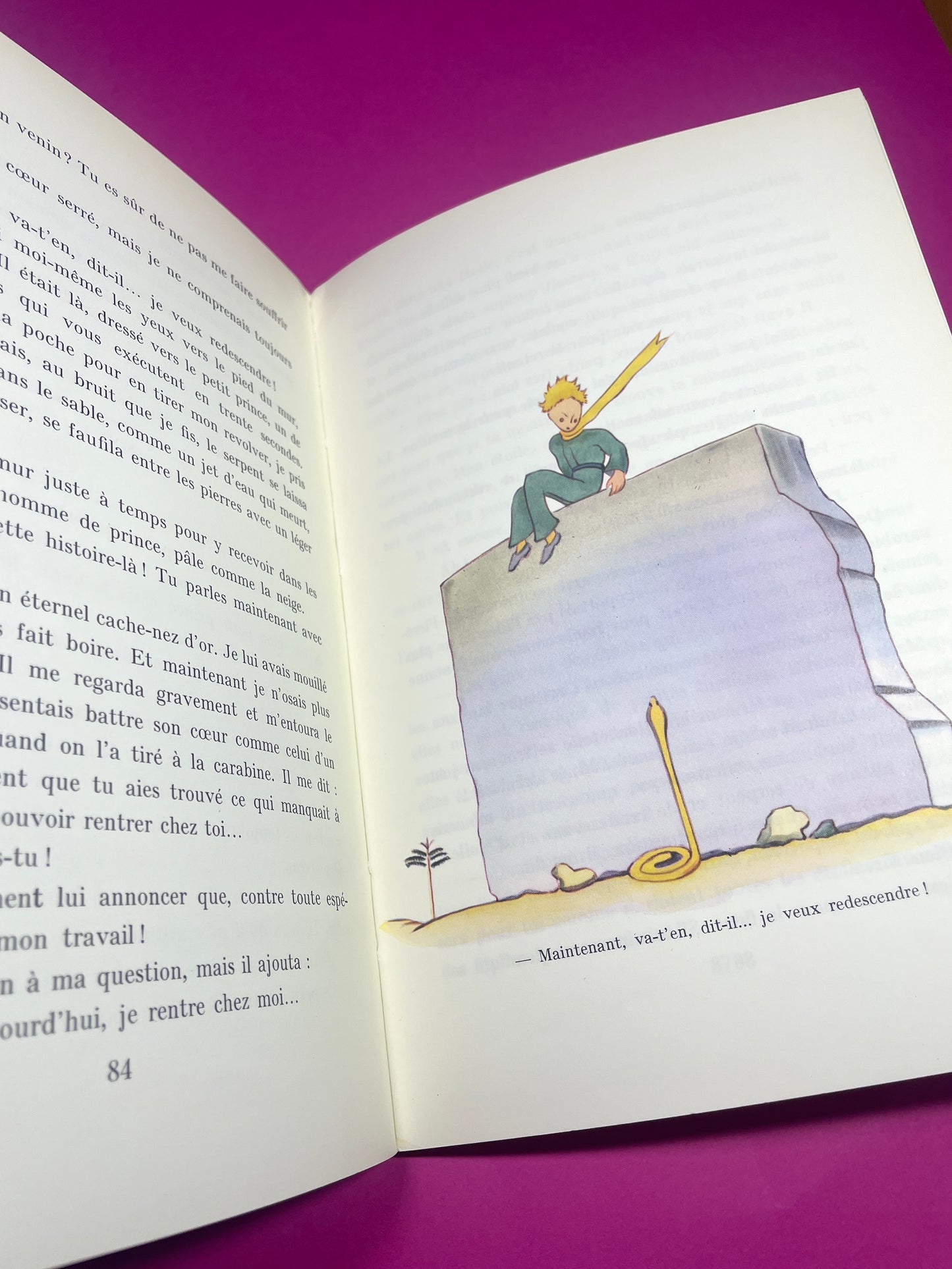 Livre Le Petit Prince 1995