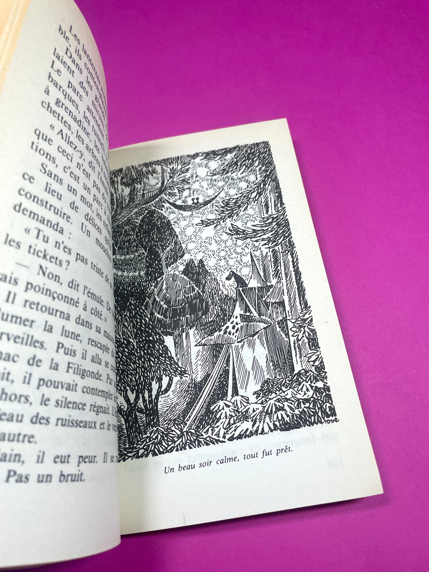 Livre Moumine 1981