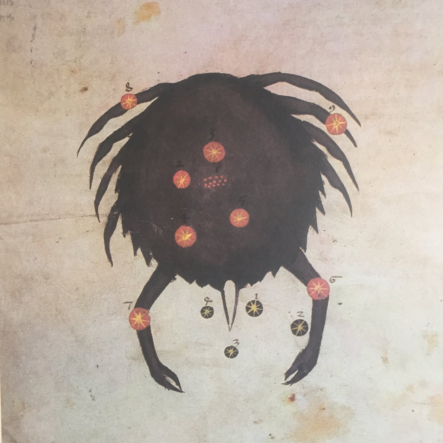 Affiche zodiaque - Cancer
