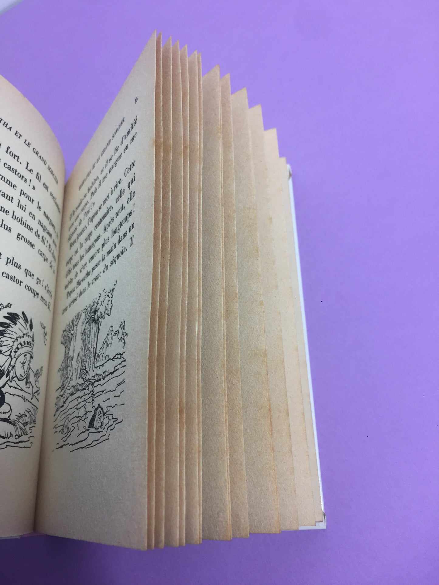 Livre Hiawatha Bibliothèque rose 1975