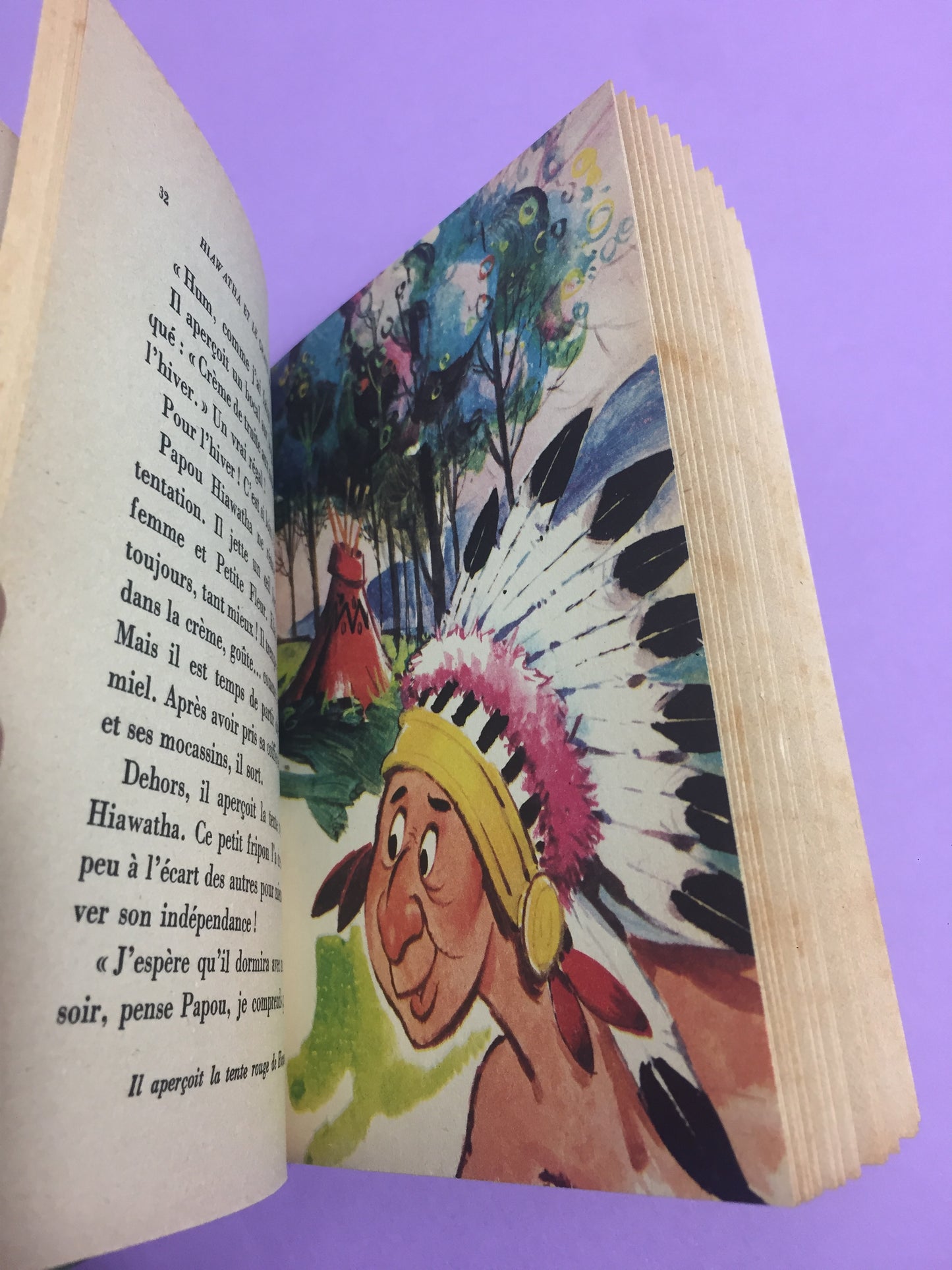 Livre Hiawatha Bibliothèque rose 1975