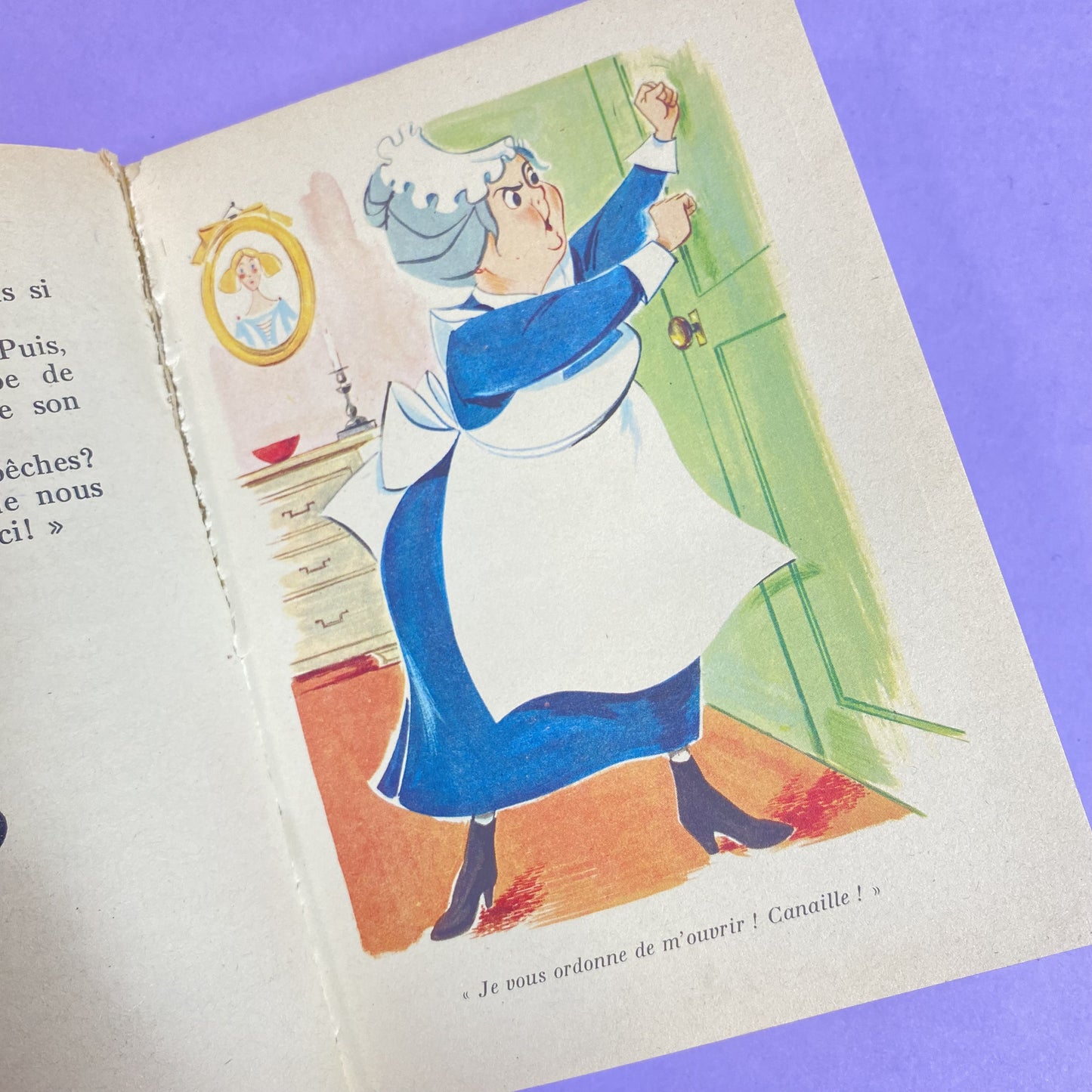 Livre 101 Dalmatiens Bibliothèque rose 1973