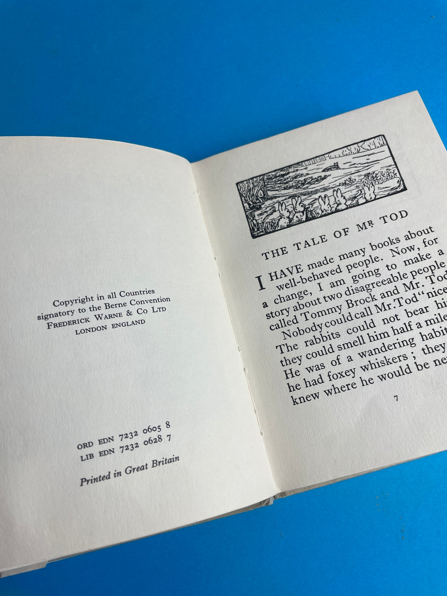 Beatrix Potter, The Tale of Mr Tod 60/70s