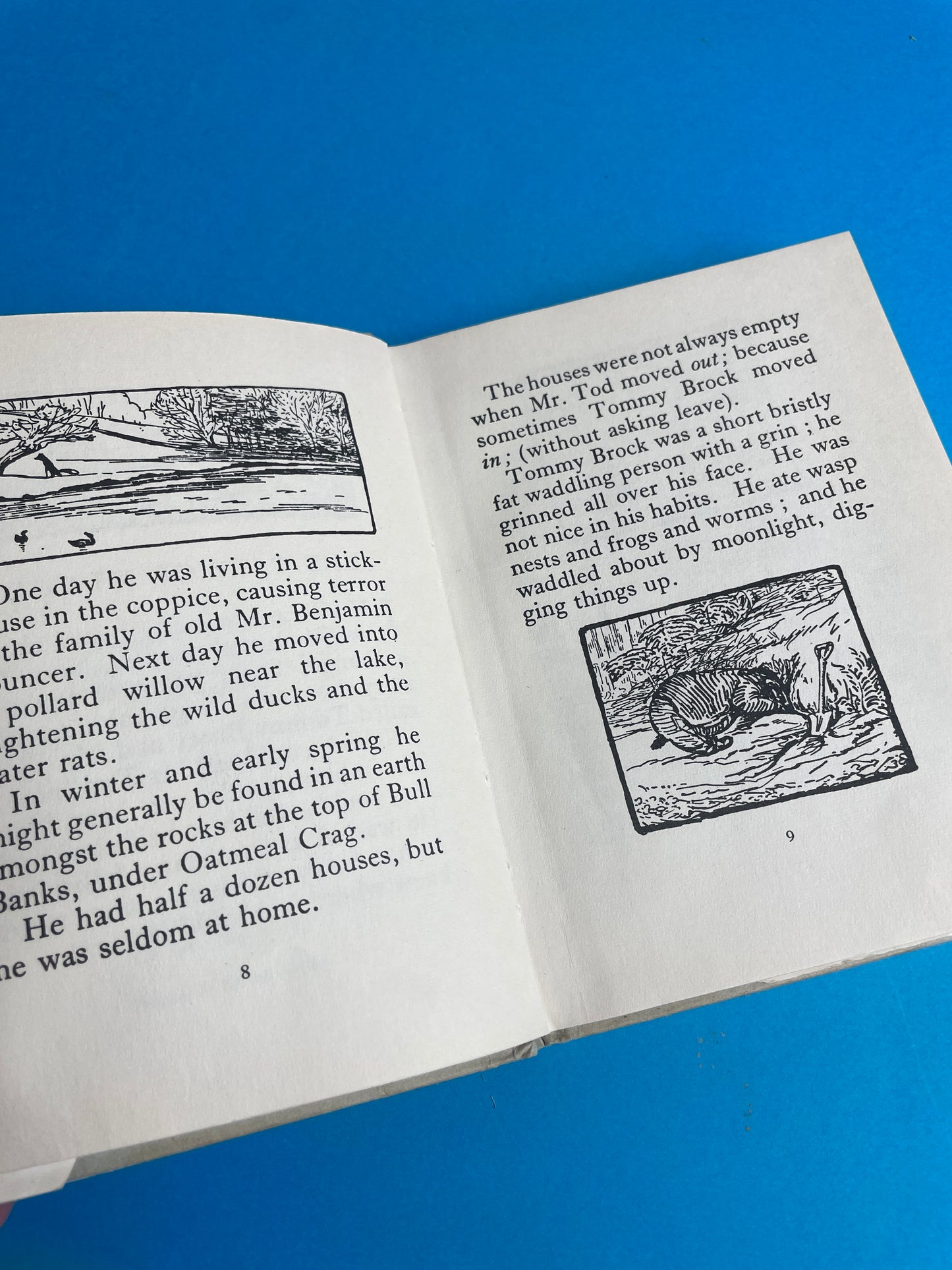 Beatrix Potter, The Tale of Mr Tod 60/70s