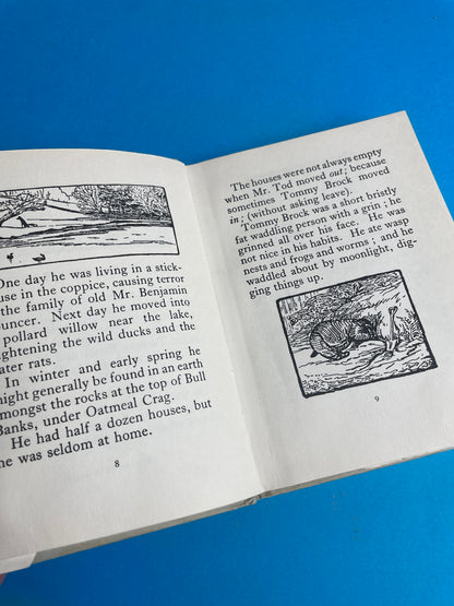 Beatrix Potter, The Tale of Mr Tod 60/70s