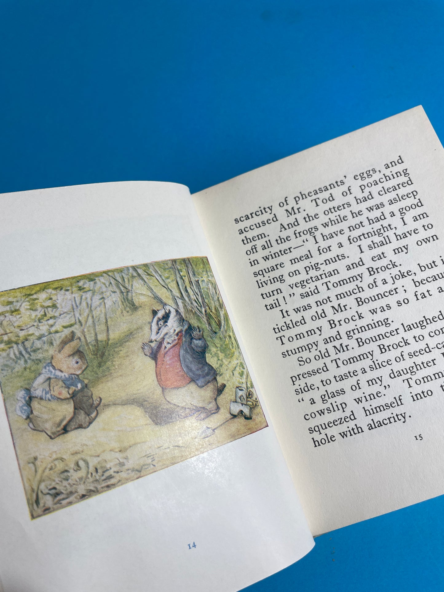 Beatrix Potter, The Tale of Mr Tod 60/70s