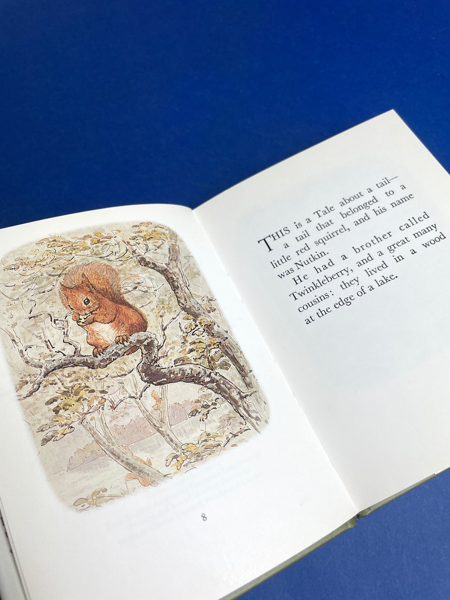 Beatrix Potter, The Tale of Squirrel Nutkin 1987
