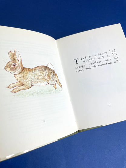 Beatrix Potter, The Story of a Fierce Bad Rabbit 1989