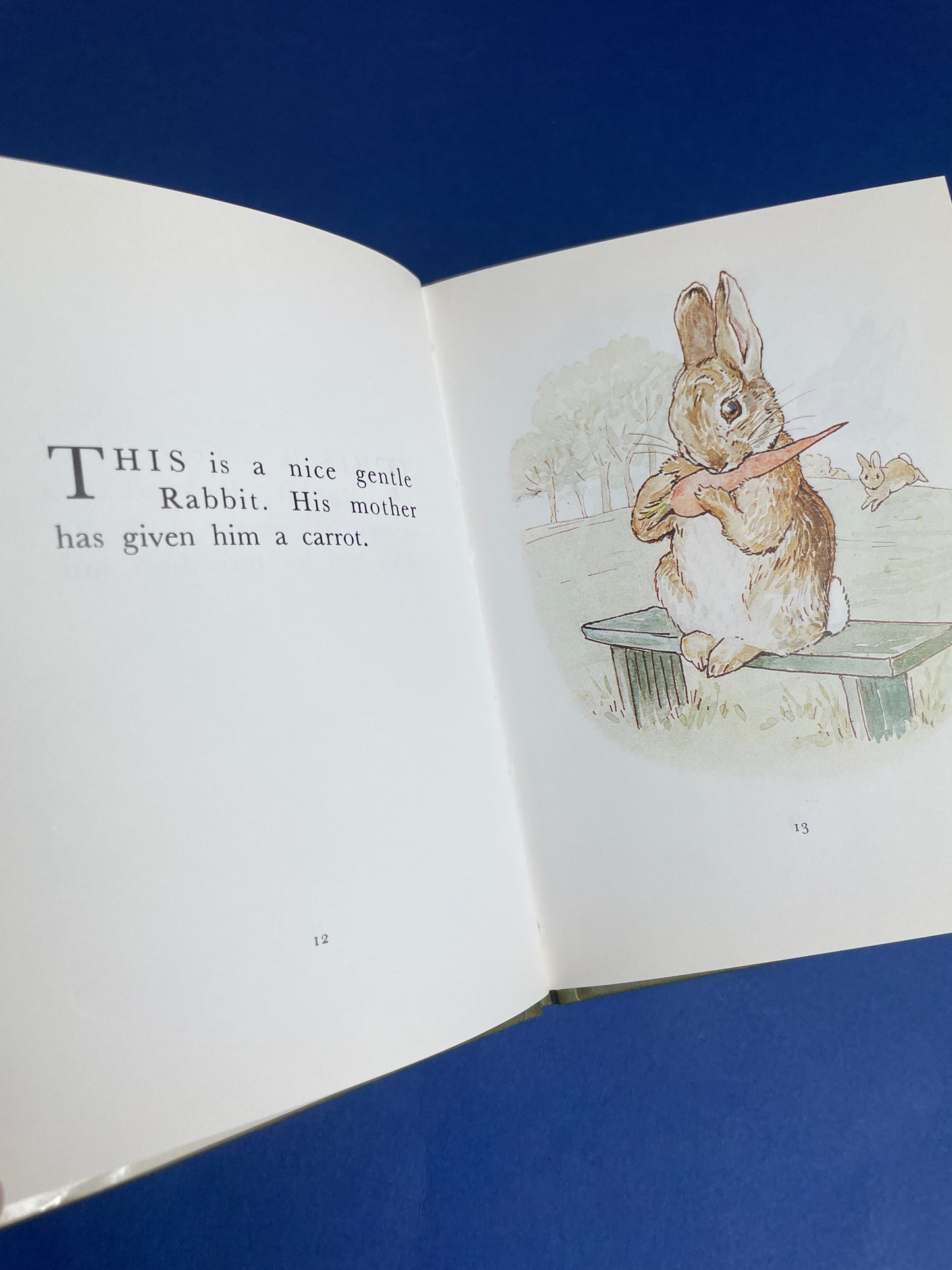 Beatrix Potter, The Story of a Fierce Bad Rabbit 1989