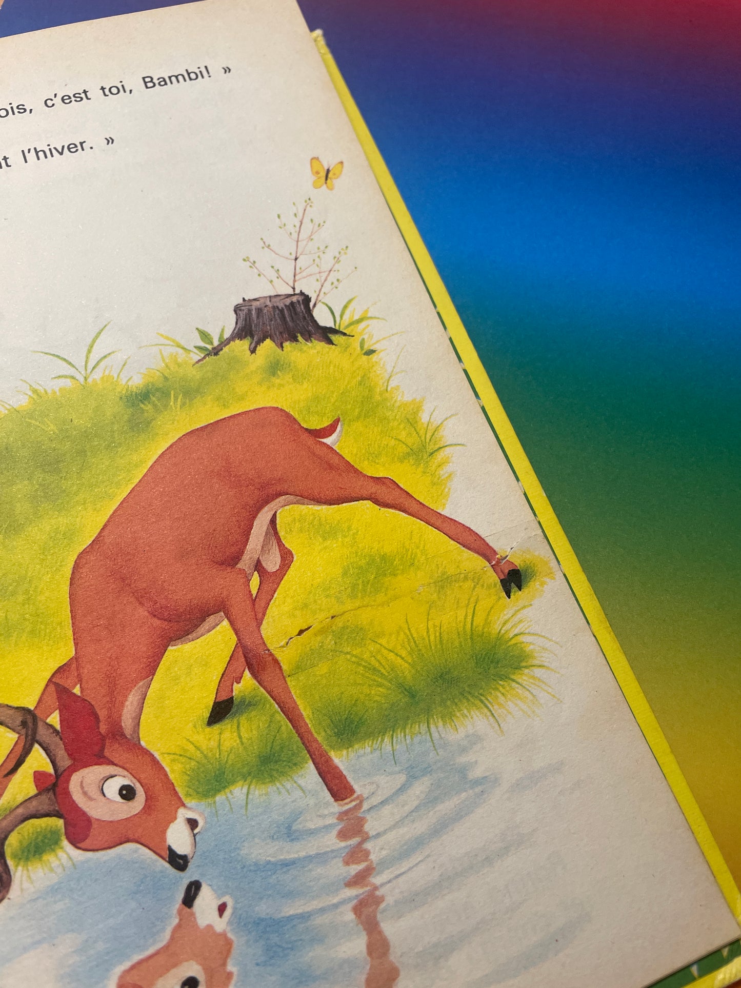 Mickey Club du livre Bambi Grandit 1978