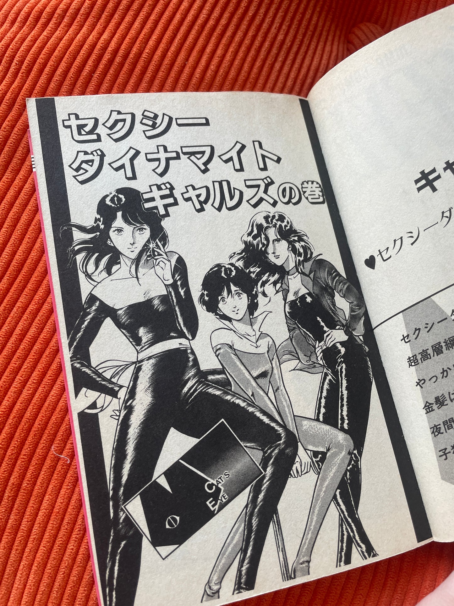 Cat's Eyes tome 1 japonais 1982
