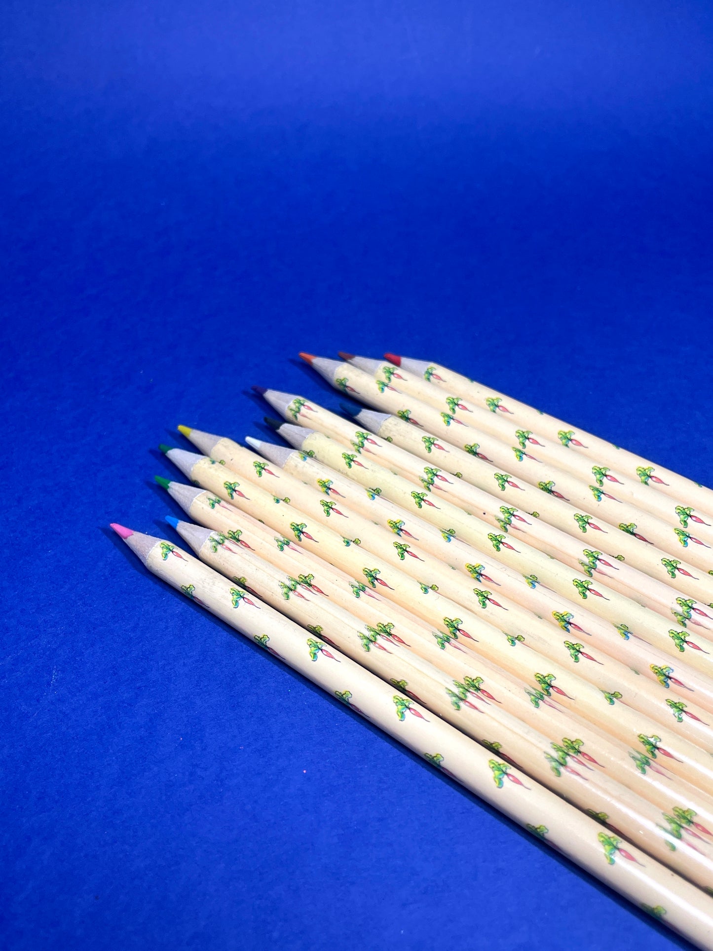 Crayons de couleur Beatrix Potter