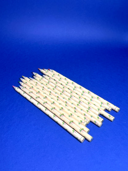 Crayons de couleur Beatrix Potter