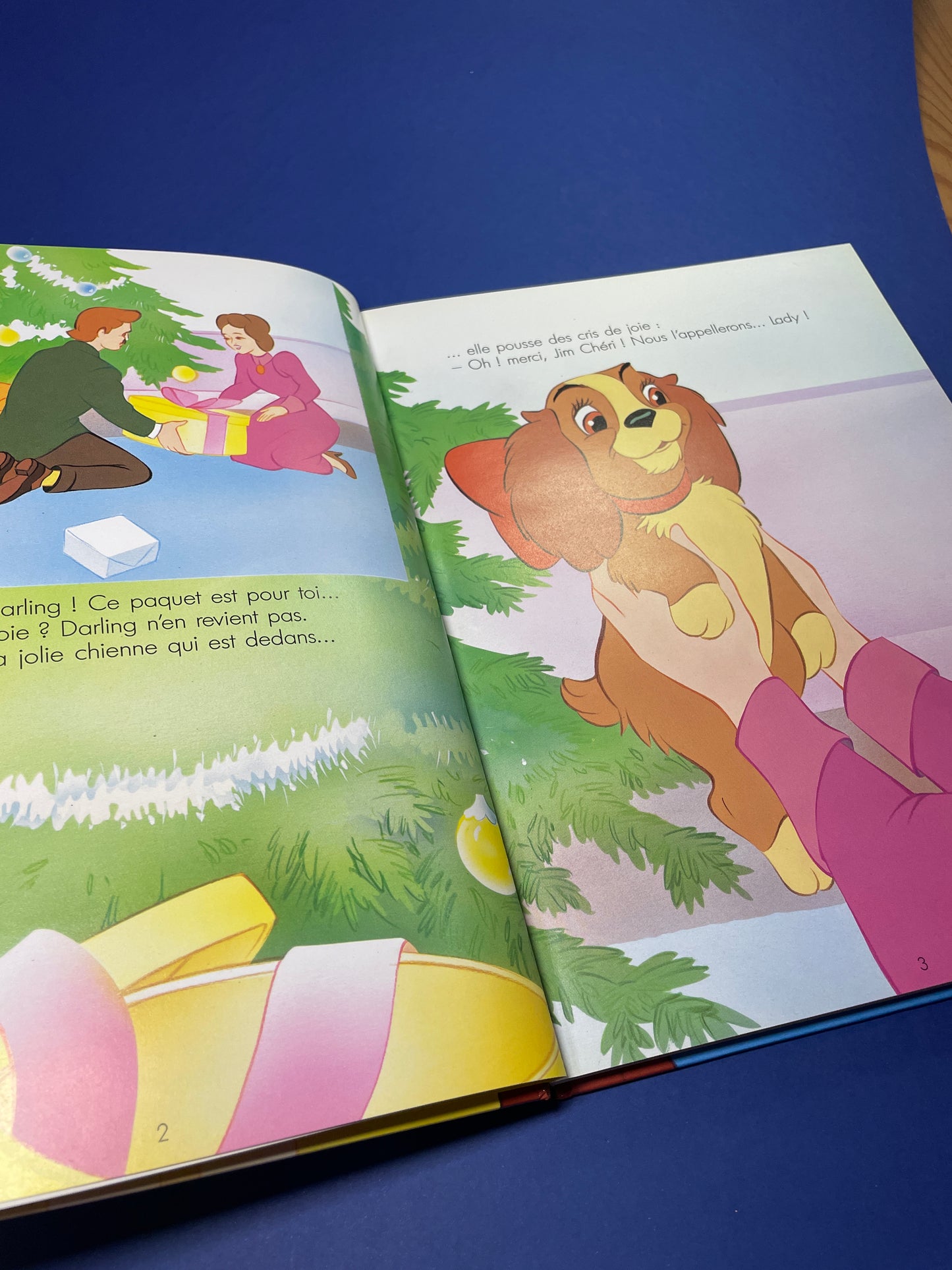 Livre La Belle et le Clochard 1997