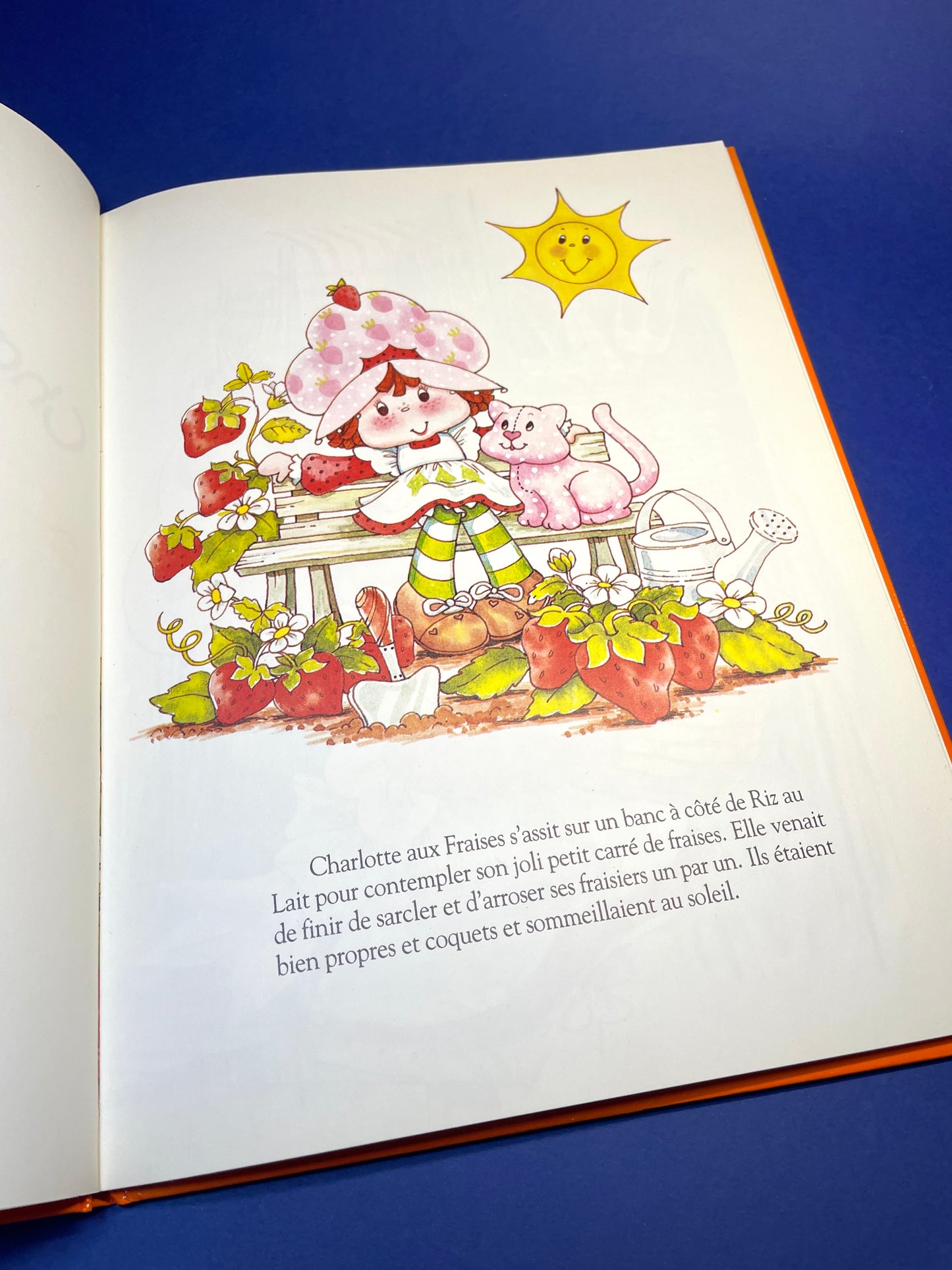 Livre Charlotte aux fraises 1984