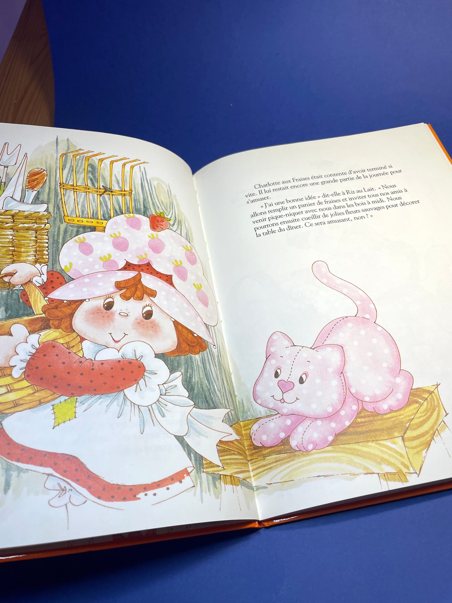 Livre Charlotte aux fraises 1984