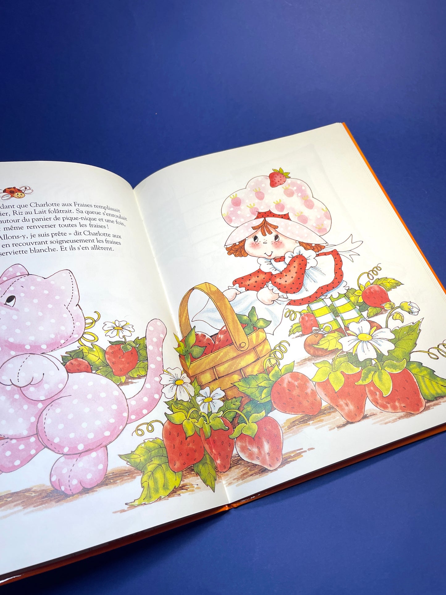 Livre Charlotte aux fraises 1984