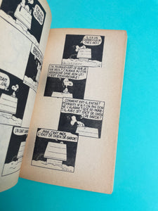 Livre Snoopy et ses frères 1974