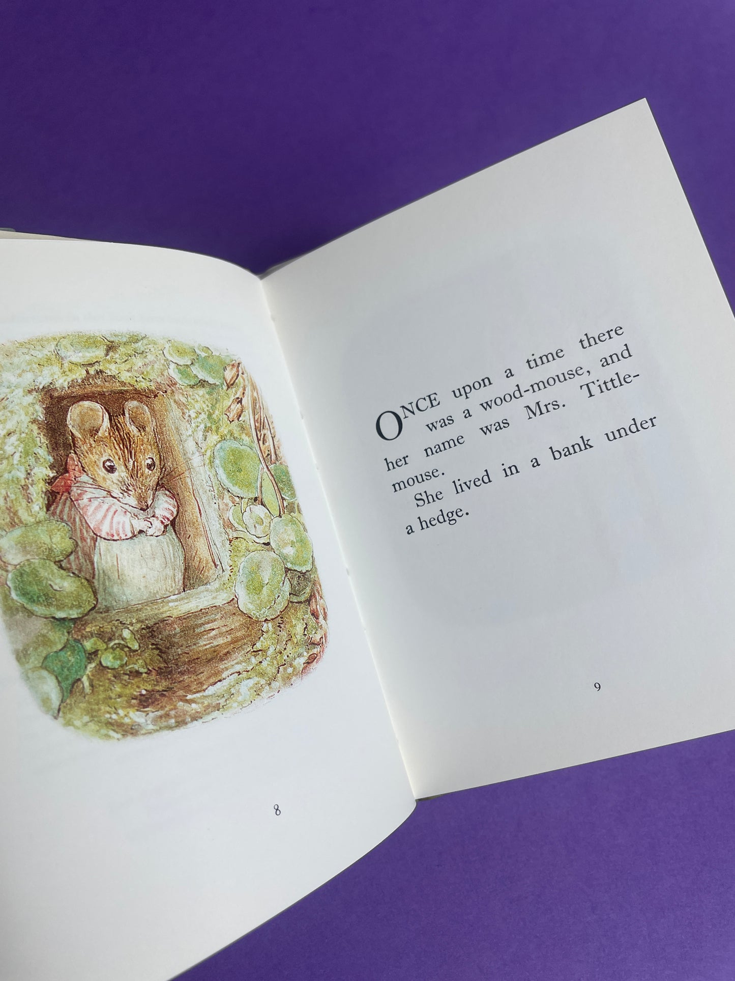 Beatrix Potter, The Tale of Mrs Tittlemouse 80s