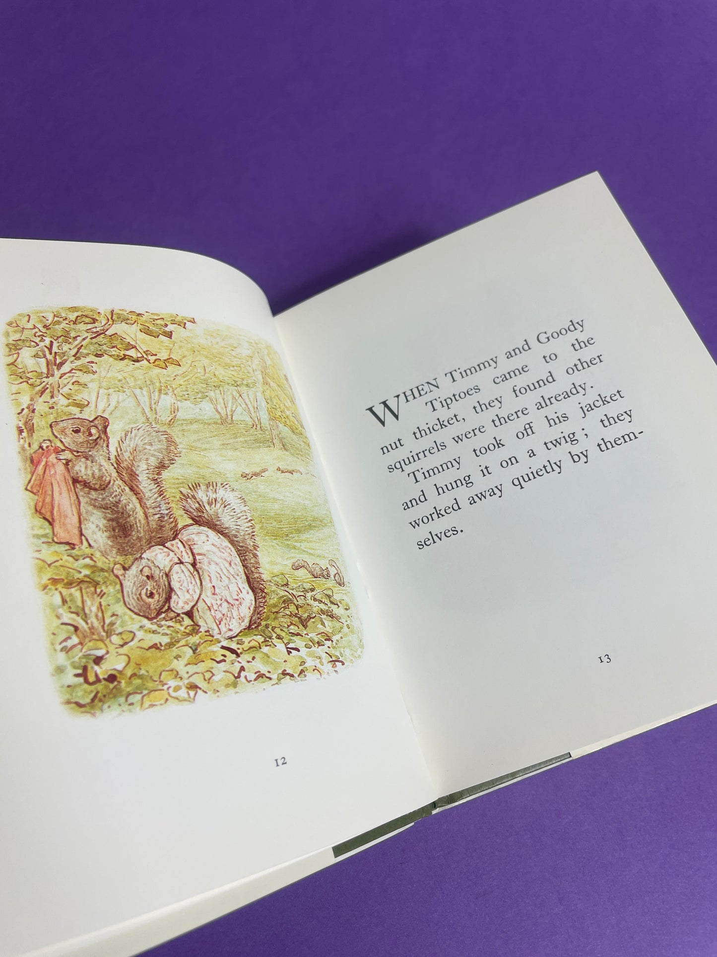 Beatrix Potter, The Tale of Timmy Tiptoes 80s