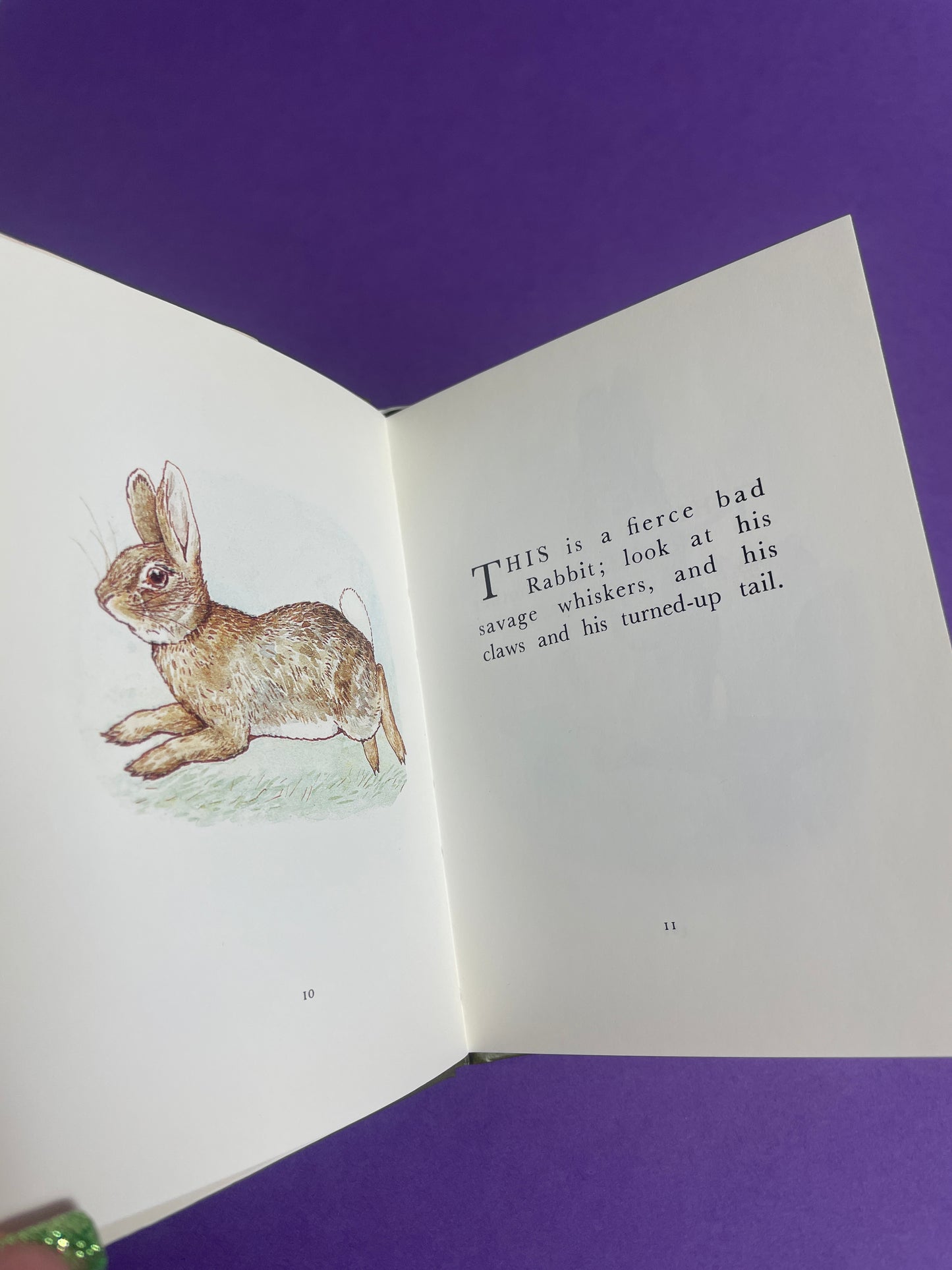 Beatrix Potter, The Story of A Fierce Bad Rabbit 80s