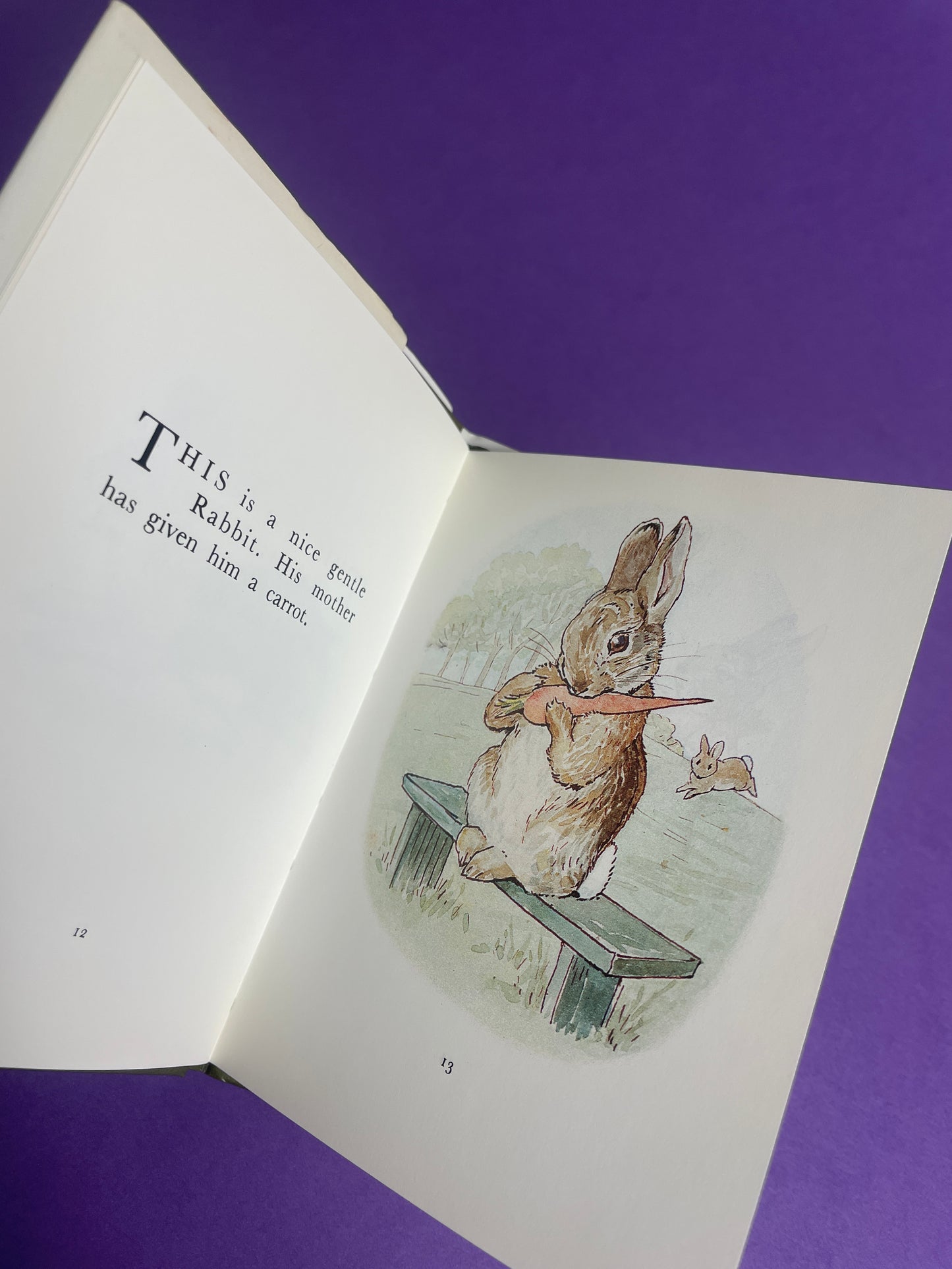 Beatrix Potter, The Story of A Fierce Bad Rabbit 80s