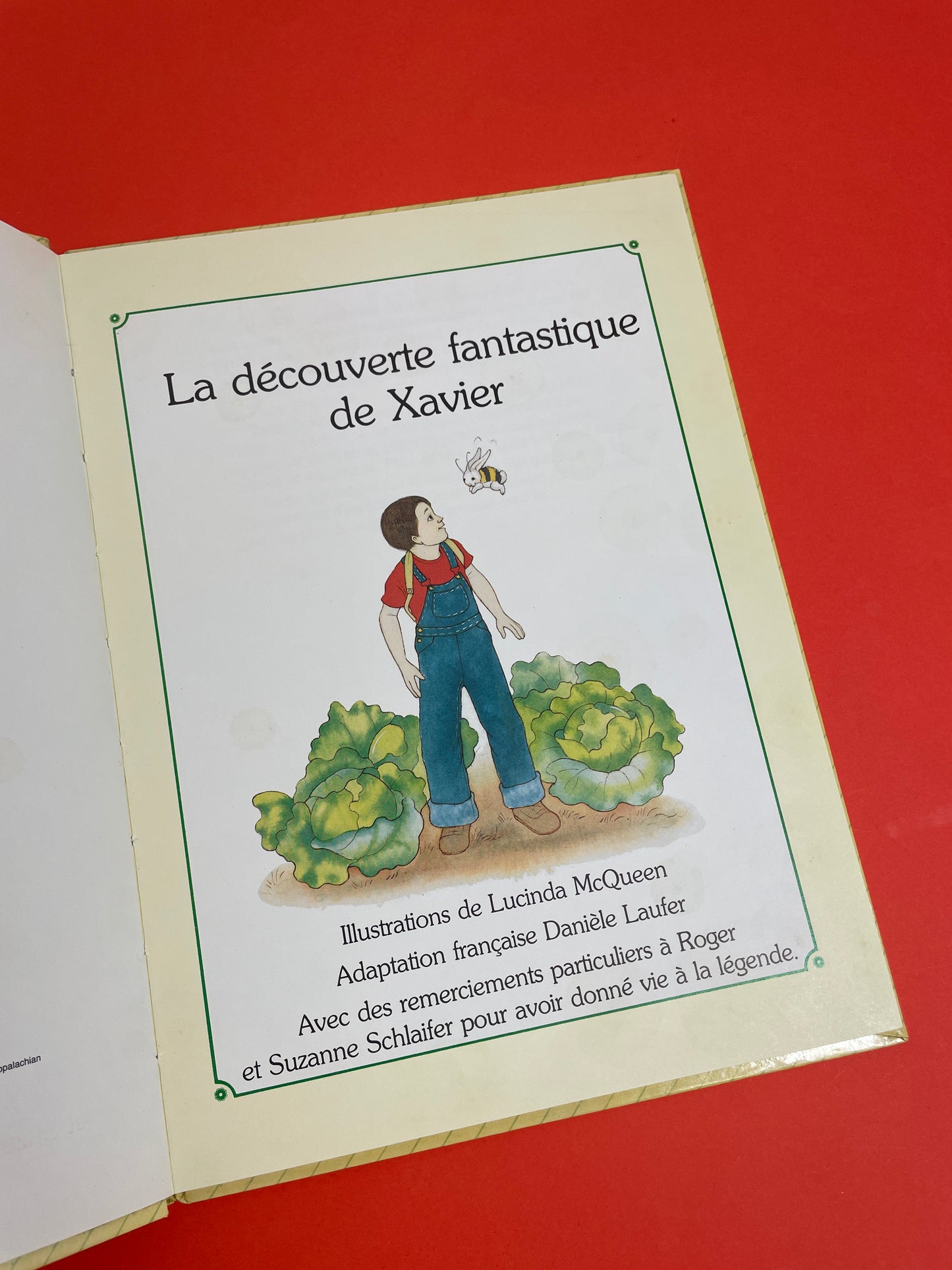 Livre Cabbage Patch Kids 1985
