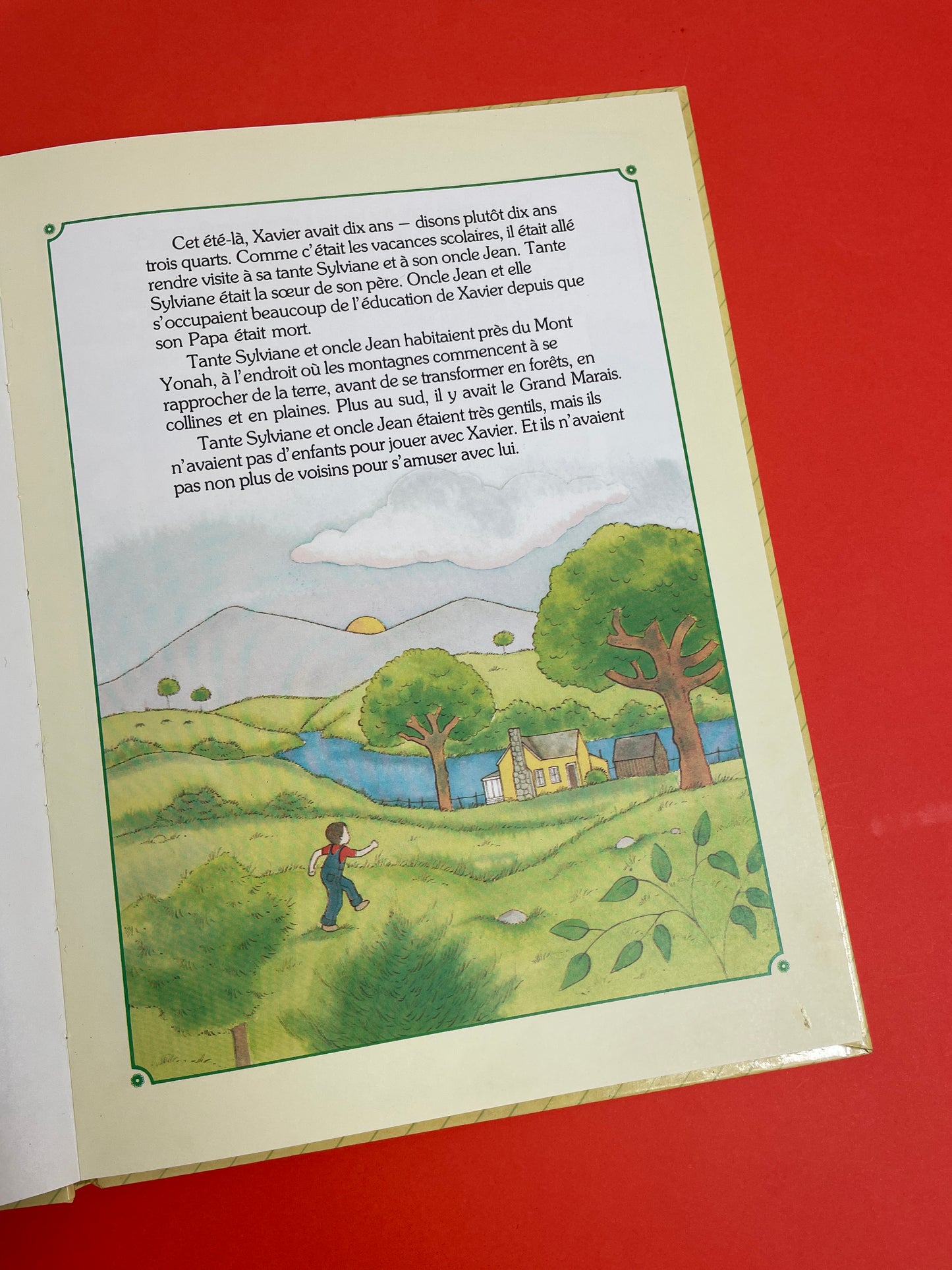 Livre Cabbage Patch Kids 1985