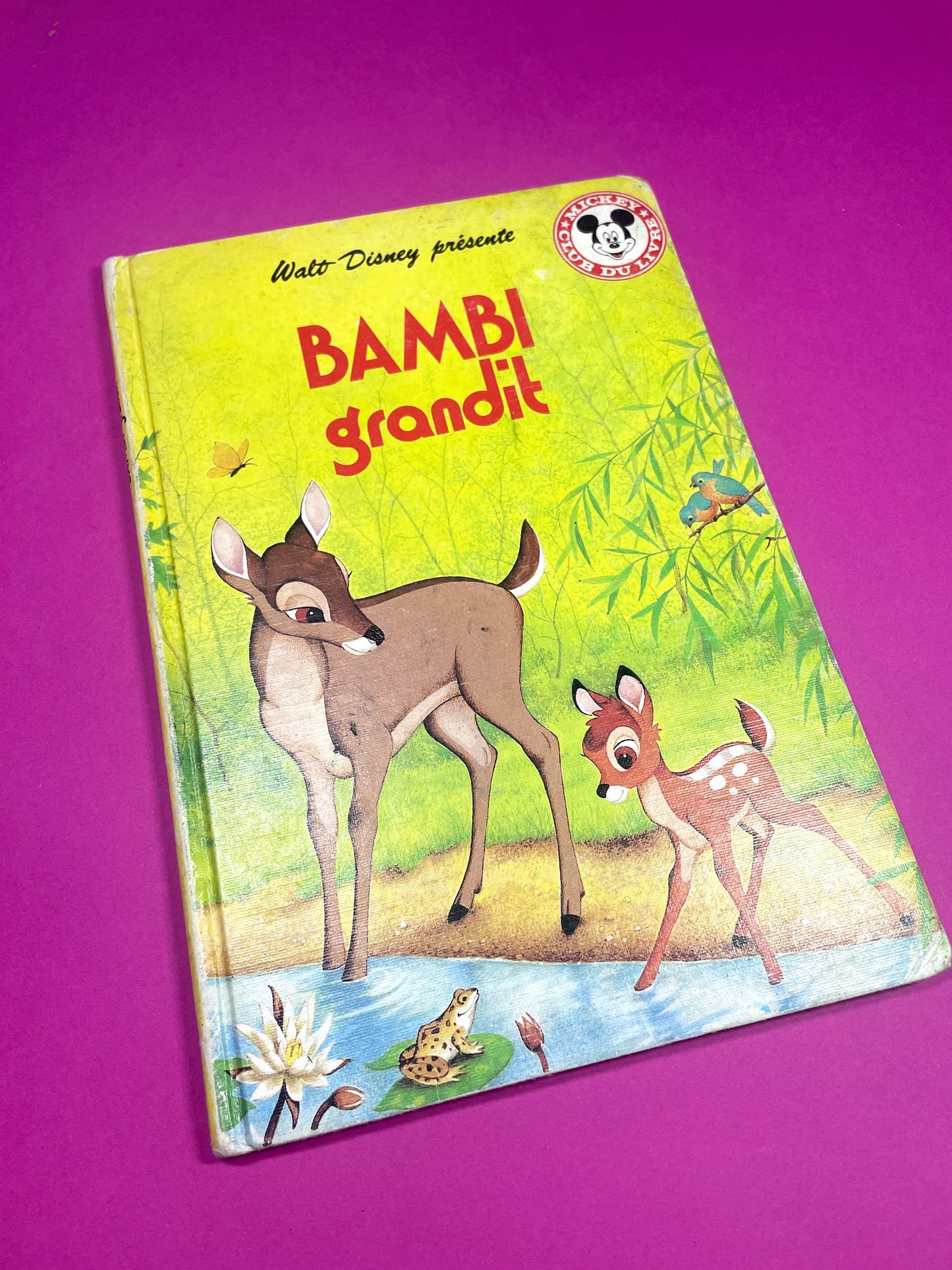 Mickey Club du livre Bambi Grandit 1978