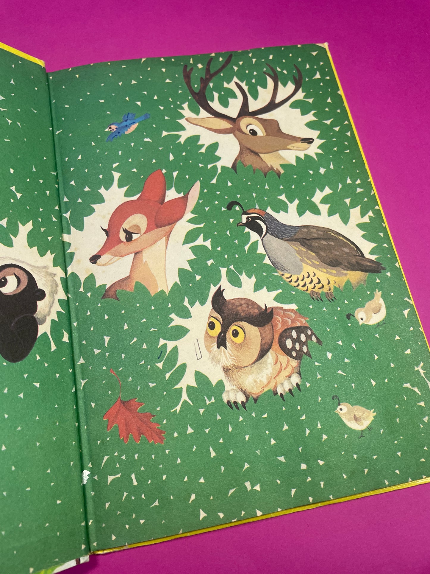 Mickey Club du livre Bambi Grandit 1978