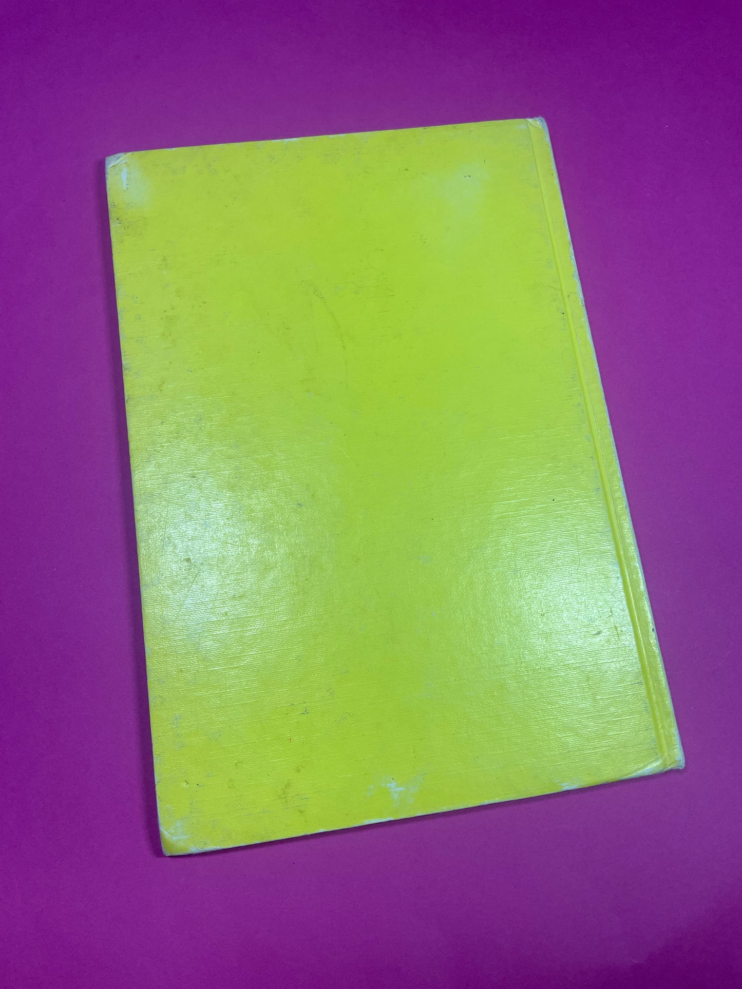 Mickey Club du livre Bambi Grandit 1978